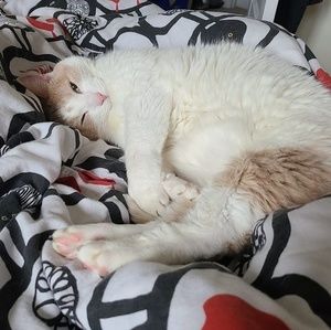 Meet your Posher, Jacky